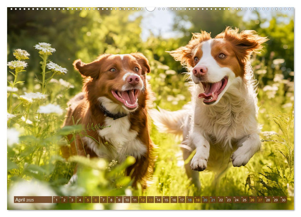 Farm Friends - Les chiens et leurs amitiés animales (Calendrier mural CALVENDO 2025) 