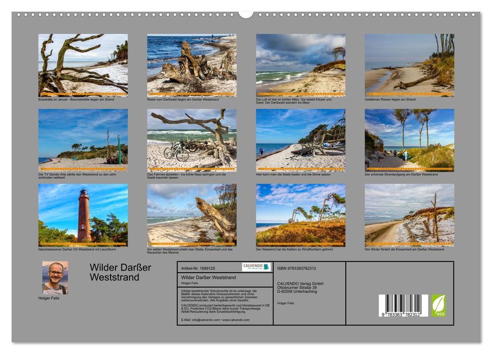 Wilder Darßer Weststrand (CALVENDO Premium Wandkalender 2025)