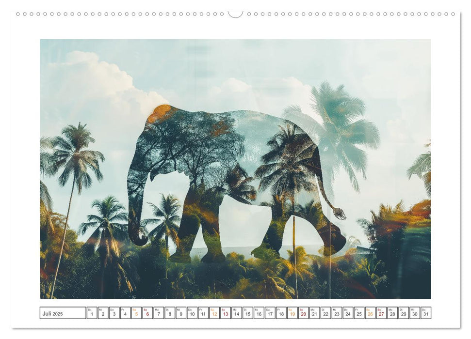 Traumhafte Silhouetten (CALVENDO Premium Wandkalender 2025)