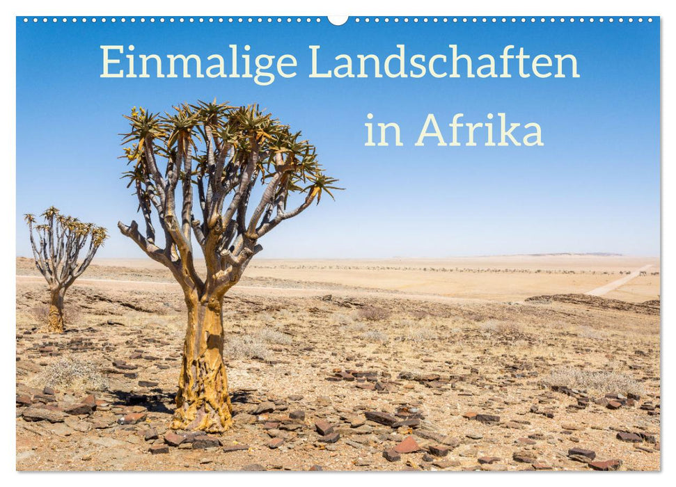 Einmalige Landschaften in Afrika (CALVENDO Wandkalender 2025)