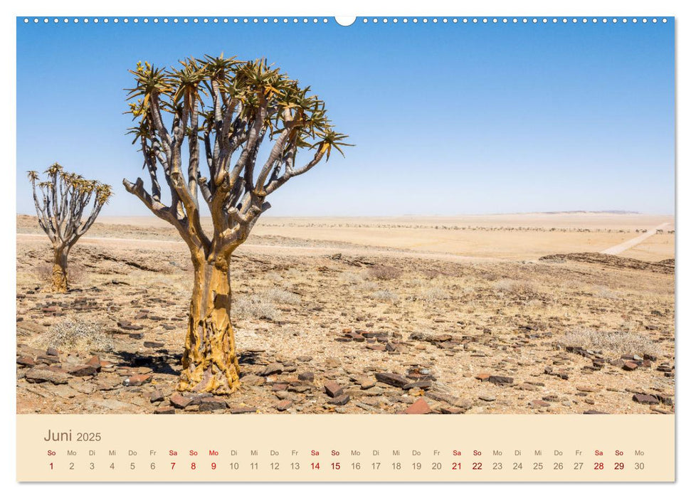 Einmalige Landschaften in Afrika (CALVENDO Premium Wandkalender 2025)