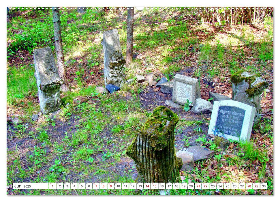Réconciliation sur les tombes - Le cimetière forestier de Rossitten (calendrier mural CALVENDO 2025) 