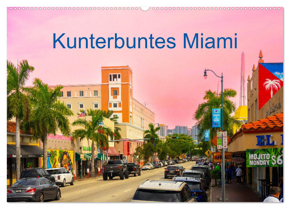 Kunterbuntes Miami (CALVENDO Wandkalender 2025)