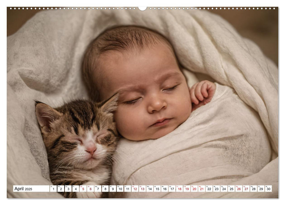 Zauberhaft schlafende Babies - Ruhig und friedlich (CALVENDO Wandkalender 2025)