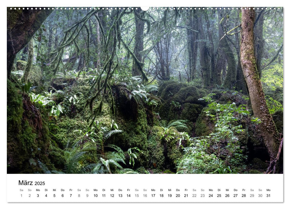Magie der Wälder Britanniens (CALVENDO Wandkalender 2025)