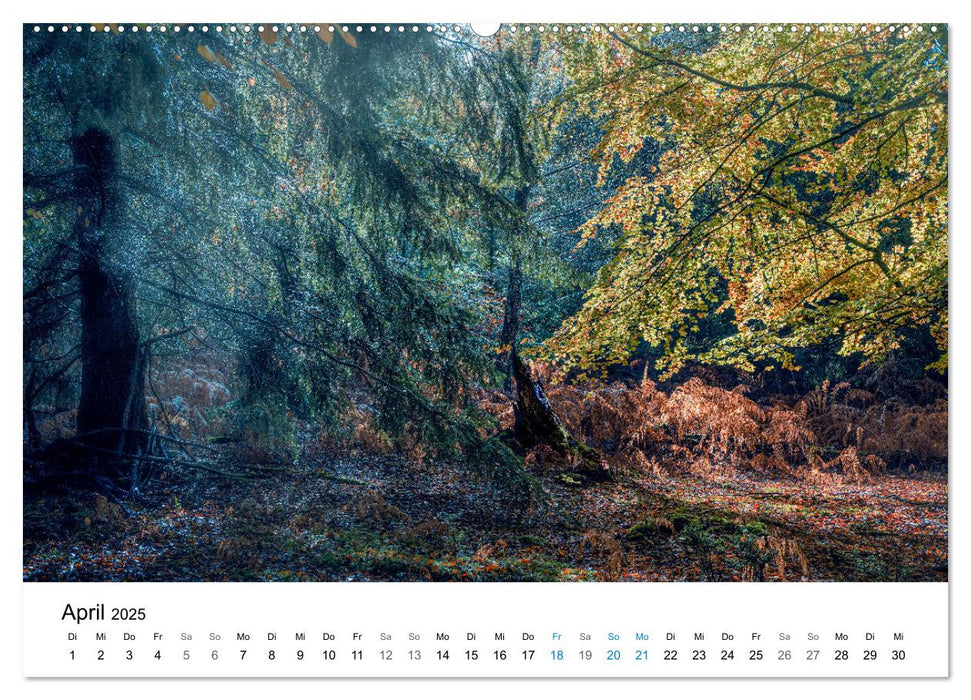 Magie der Wälder Britanniens (CALVENDO Wandkalender 2025)