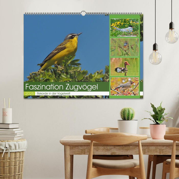 Faszination Zugvögel - Rekorde in der Vogelwelt (CALVENDO Wandkalender 2025)