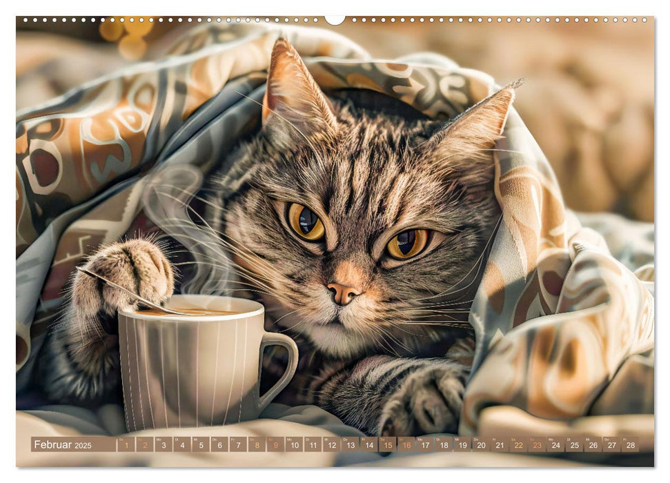 Katzen-Alltag - Ein witziges Jahr mit Kater Tommy (CALVENDO Wandkalender 2025)