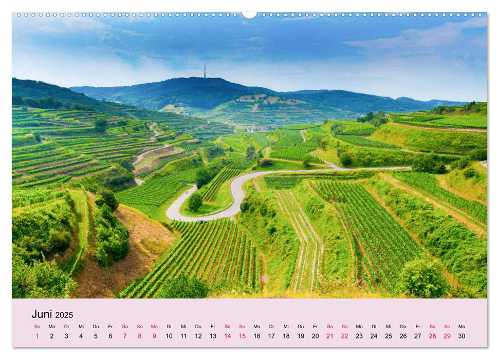 Augenblicke im Kaiserstuhl (CALVENDO Premium Wandkalender 2025)