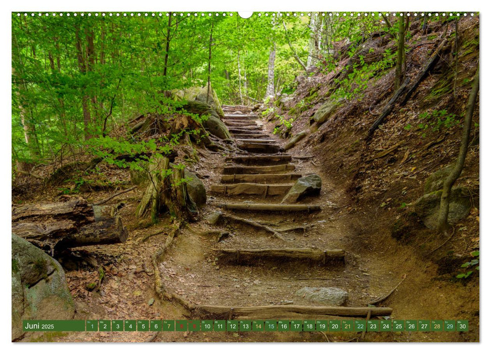 Das Felsenmeer - Natur pur im Odenwald (CALVENDO Premium Wandkalender 2025)
