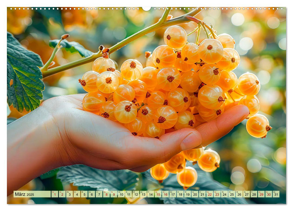 Ernteglück - Eine handvoll süßer Früchte zum Anbeißen (CALVENDO Premium Wandkalender 2025)