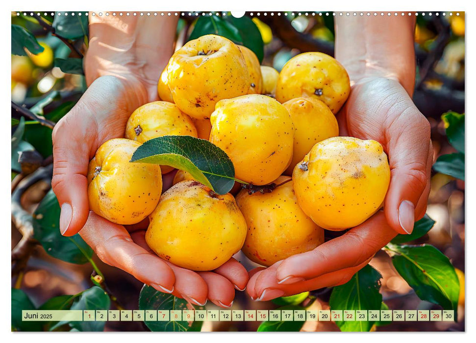 Ernteglück - Eine handvoll süßer Früchte zum Anbeißen (CALVENDO Premium Wandkalender 2025)