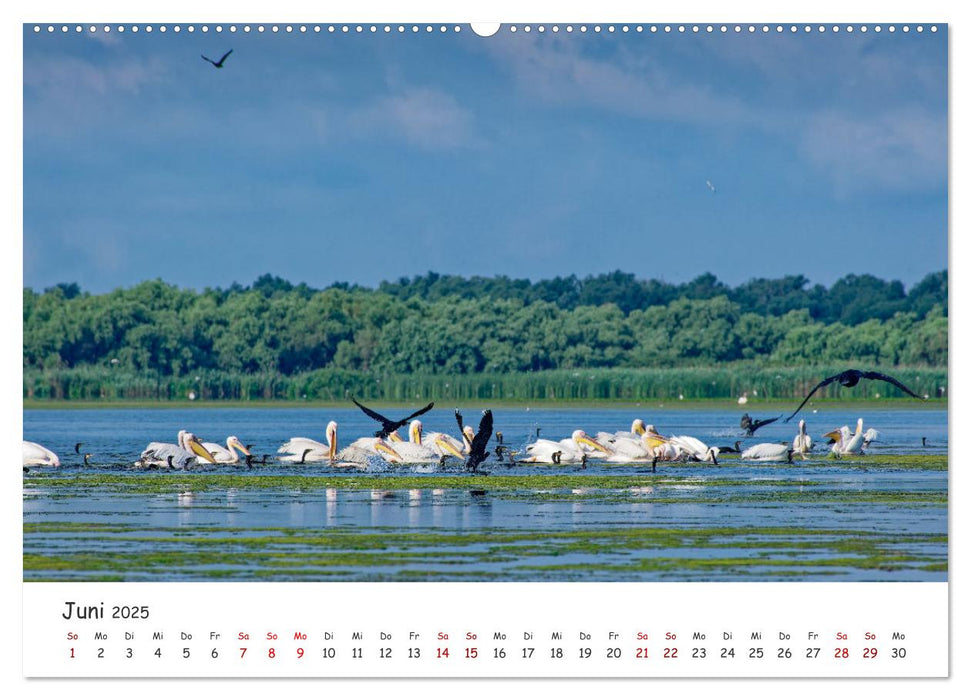 Donau-Delta (CALVENDO Wandkalender 2025)