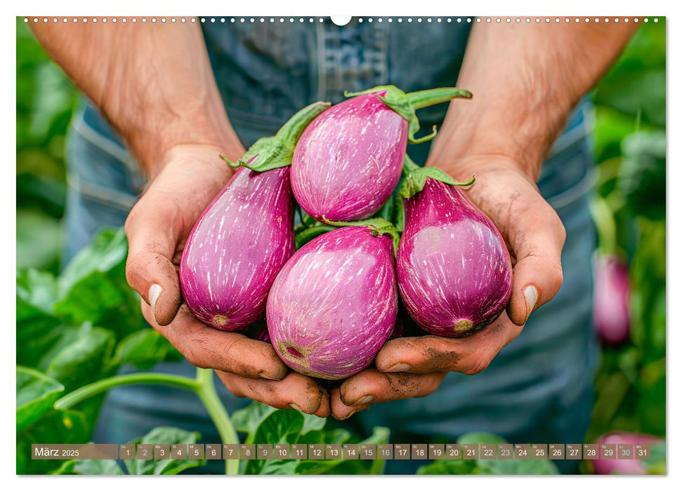 Mein Gemüsegarten - Ein Jahr knackig frisches Gemüse (CALVENDO Wandkalender 2025)