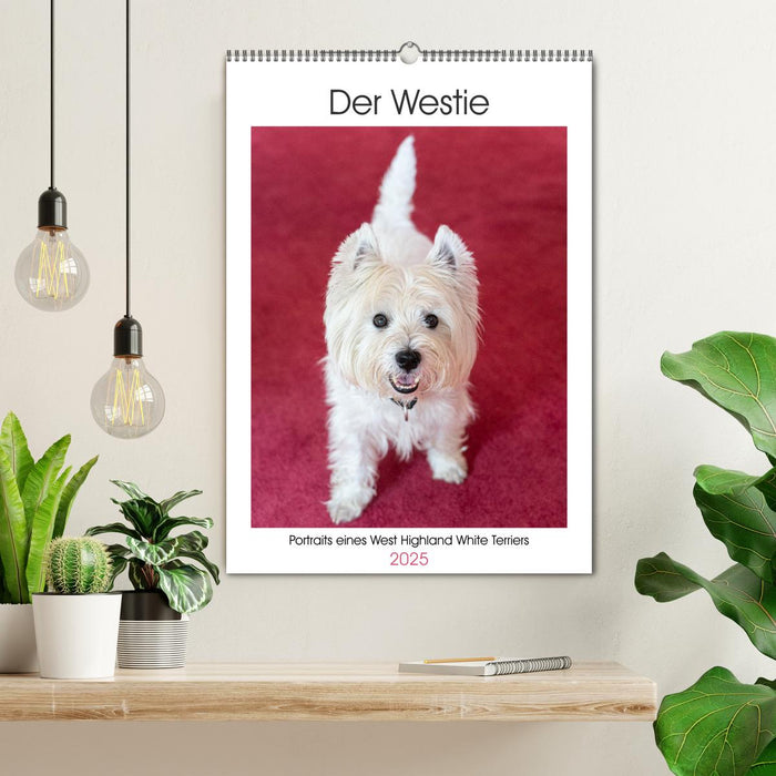 Le Westie - Portrait d'un West Highland White Terrier (Calendrier mural CALVENDO 2025) 
