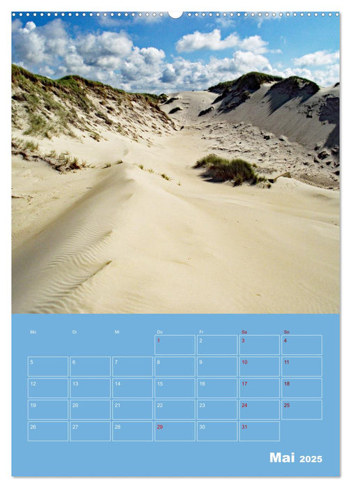 Nordseereise – Jütland in Dänemark – Von Blavand bis Henne Strand (CALVENDO Wandkalender 2025)