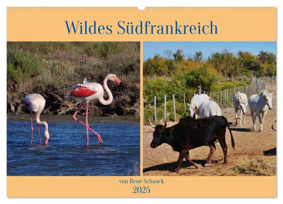 Wildes Südfrankreich (CALVENDO Wandkalender 2025)