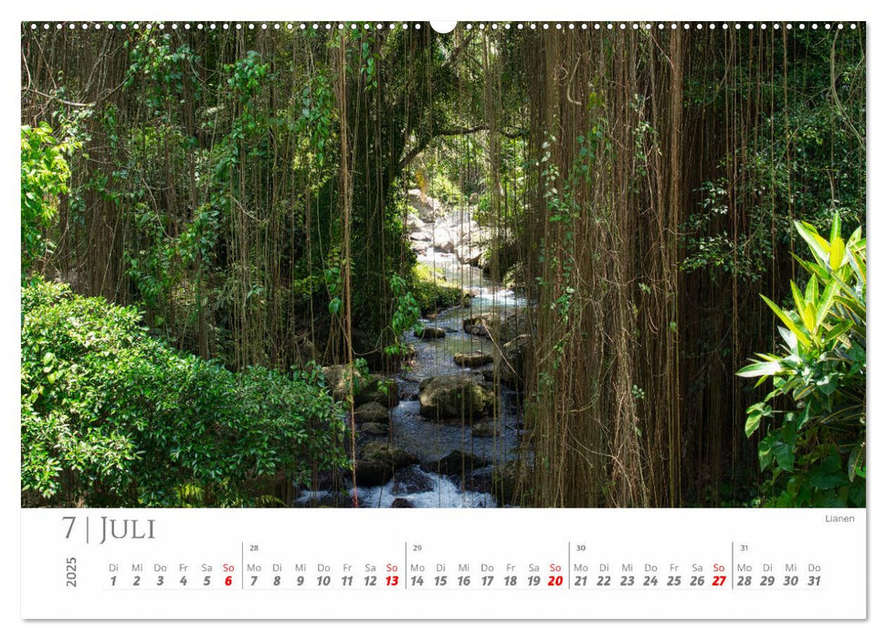 Bali und Nusa Lembongan (CALVENDO Premium Wandkalender 2025)