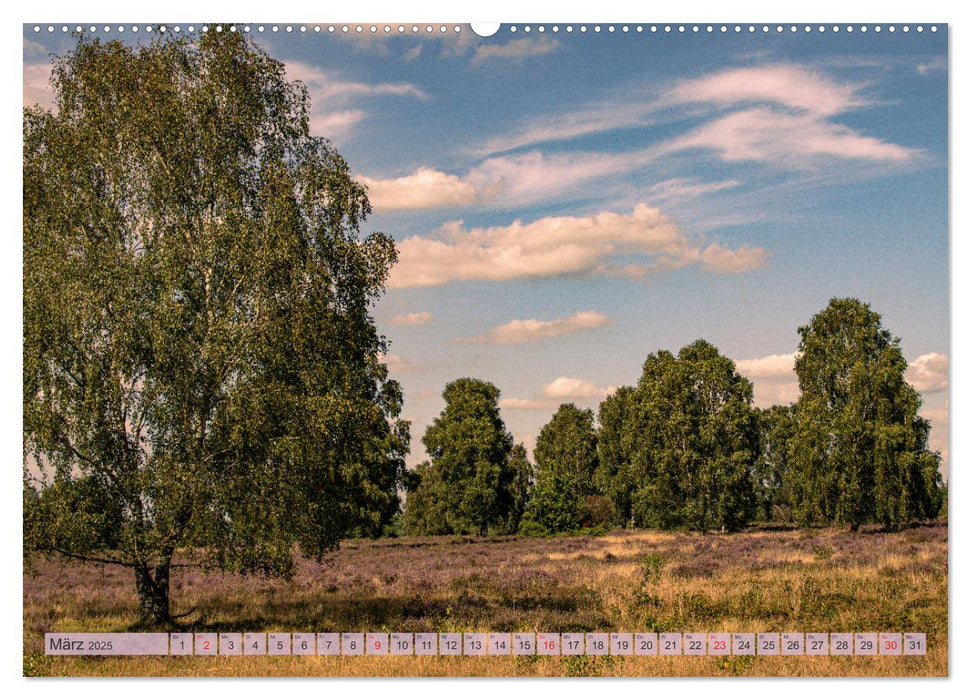 Wunderbare Heidelandschaften (CALVENDO Premium Wandkalender 2025)