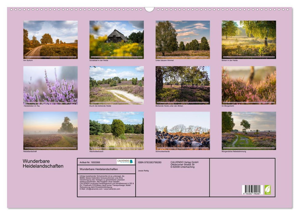 Wunderbare Heidelandschaften (CALVENDO Wandkalender 2025)
