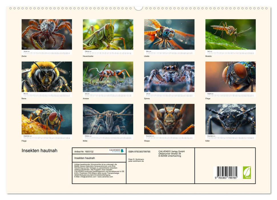 Insekten hautnah (CALVENDO Premium Wandkalender 2025)