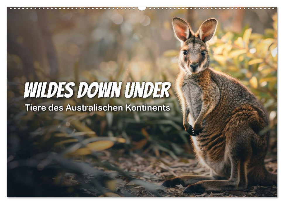 Wildes Down Under: Tiere des Australischen Kontinents (CALVENDO Wandkalender 2025)
