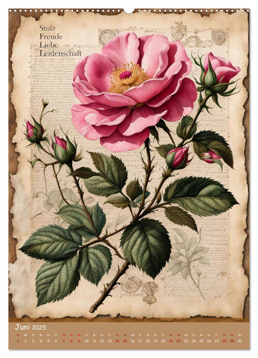 Geburtsblume, dein florales Sternzeichen (CALVENDO Premium Wandkalender 2025)