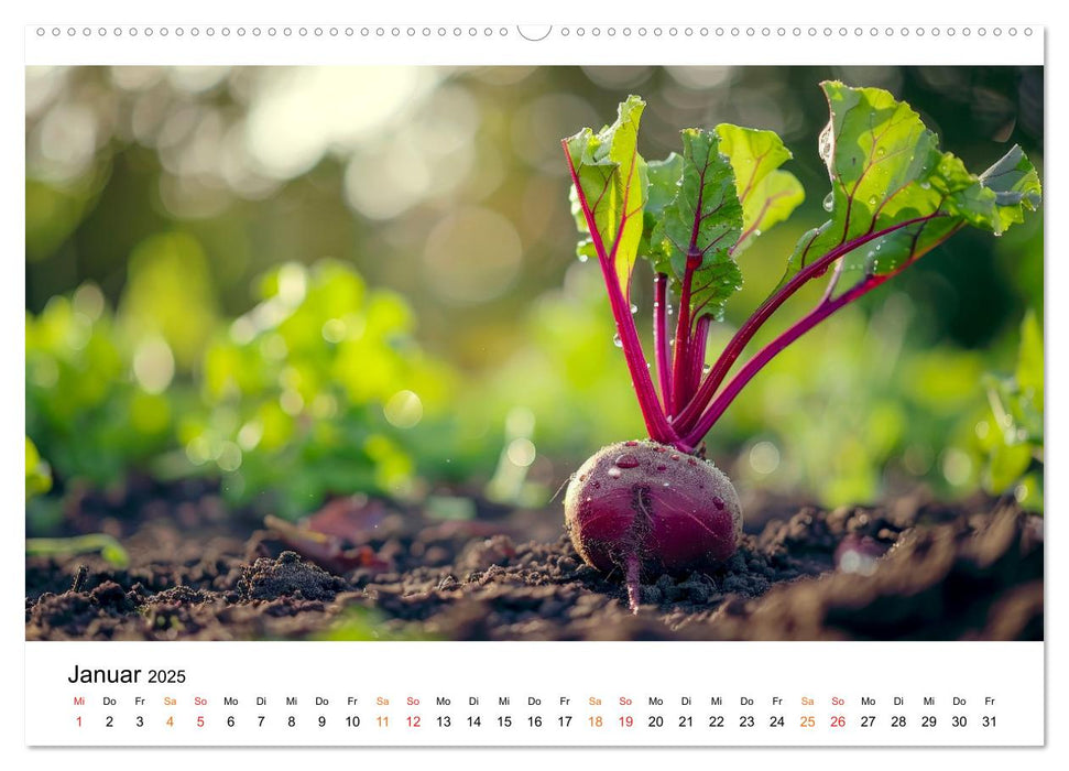 Gemüse für Gourmets (CALVENDO Wandkalender 2025)