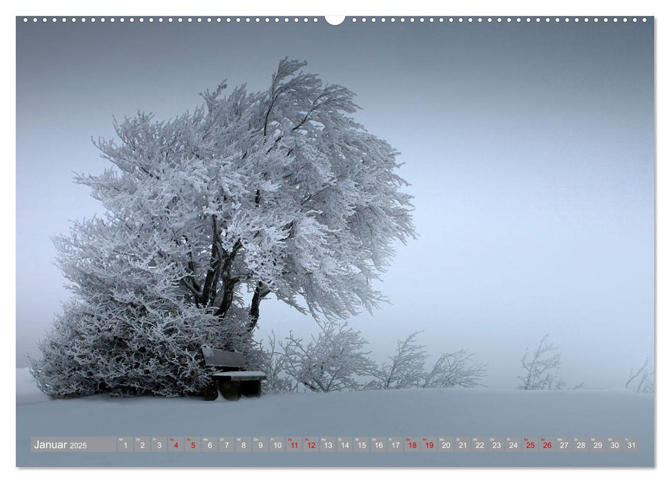 Wunderschöne schwäbische Alb (CALVENDO Wandkalender 2025)