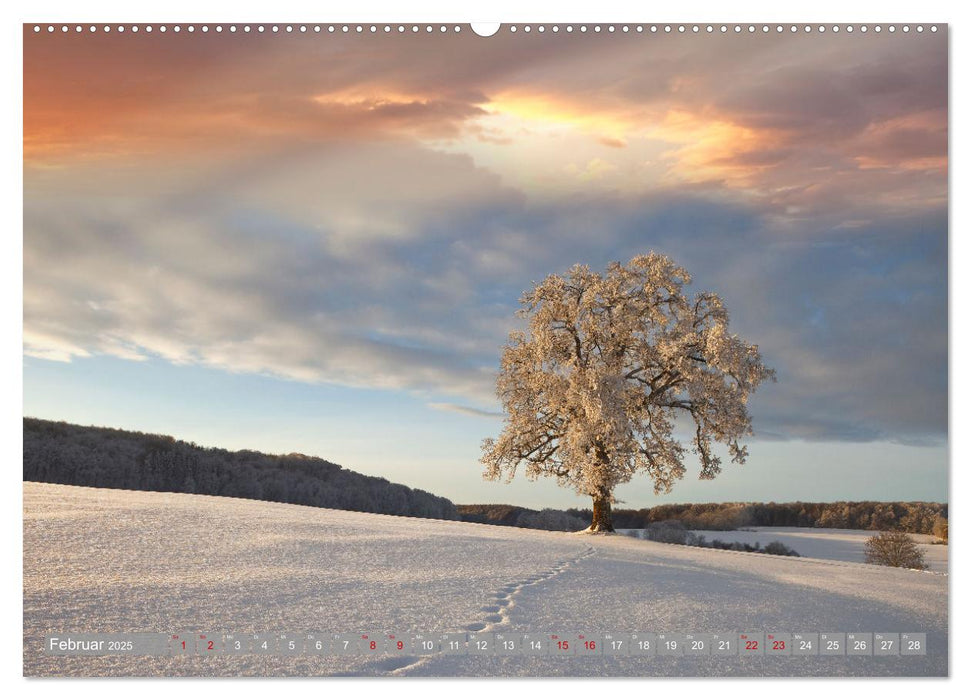 Wunderschöne schwäbische Alb (CALVENDO Premium Wandkalender 2025)
