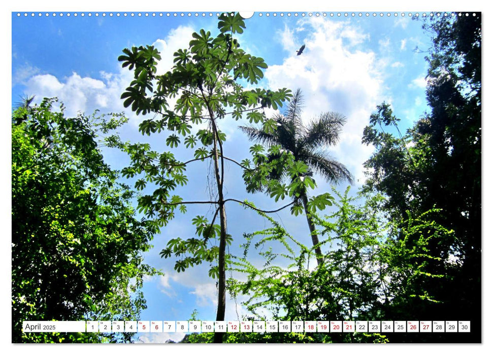 Naturjuwel Soroa - Ein Stück vom Paradies auf Kuba (CALVENDO Premium Wandkalender 2025)