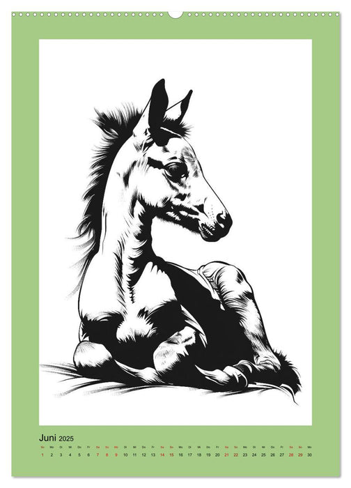 Pferde minimalistisch (CALVENDO Wandkalender 2025)