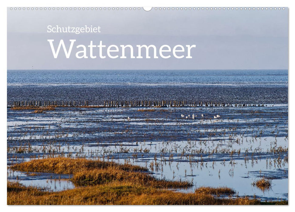 Schutzgebiet Wattenmeer (CALVENDO Wandkalender 2025)