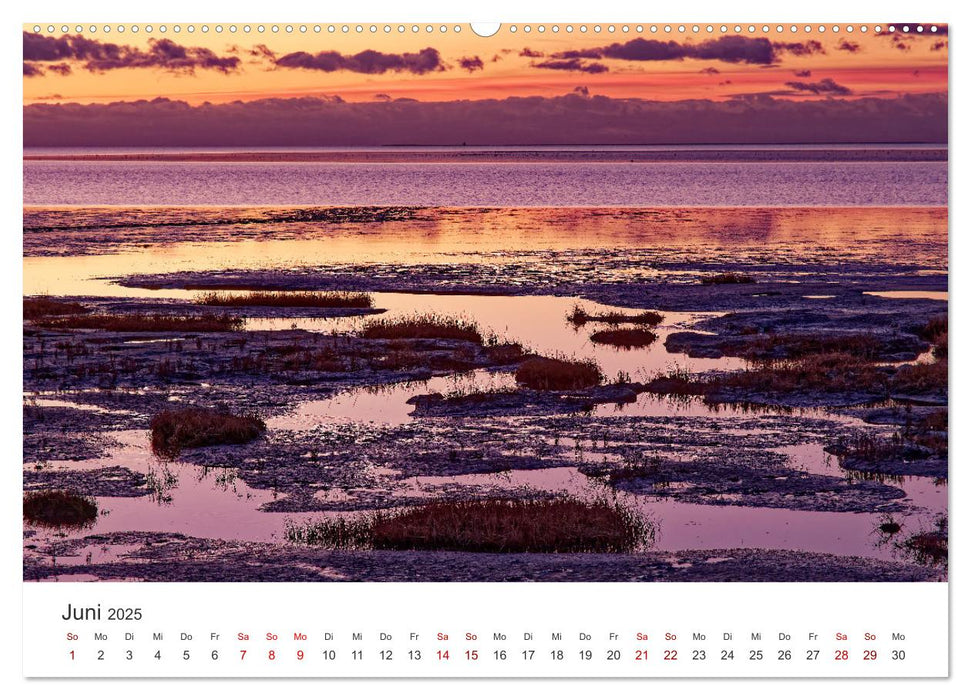 Schutzgebiet Wattenmeer (CALVENDO Wandkalender 2025)