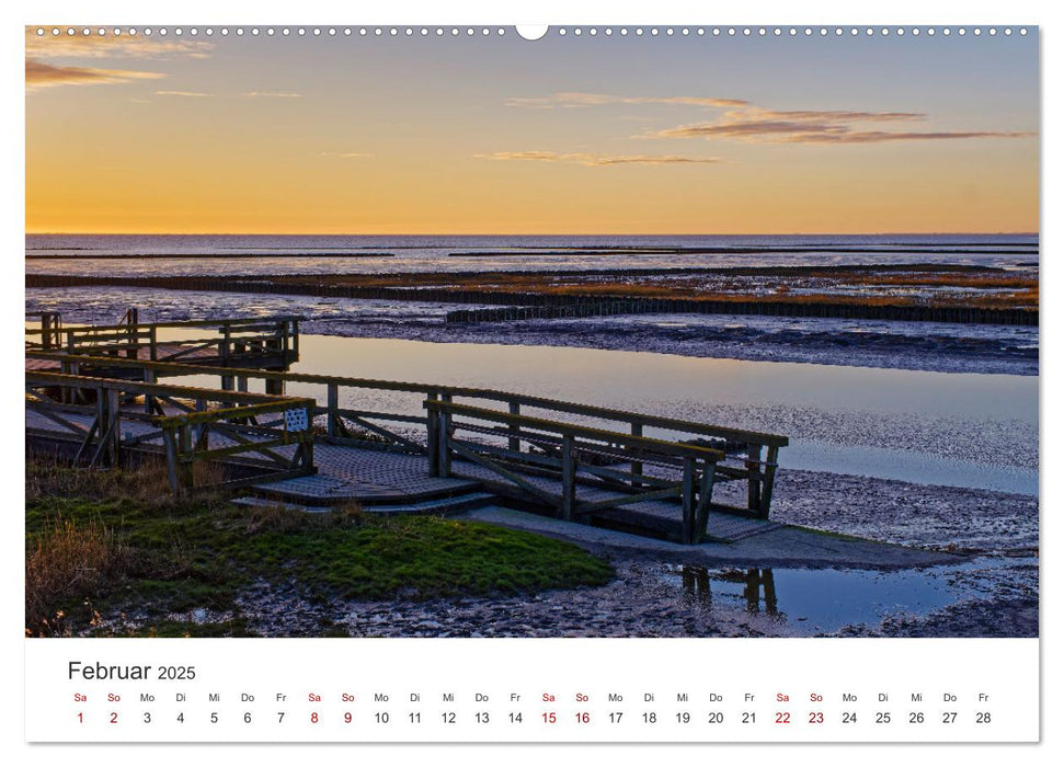 Schutzgebiet Wattenmeer (CALVENDO Premium Wandkalender 2025)