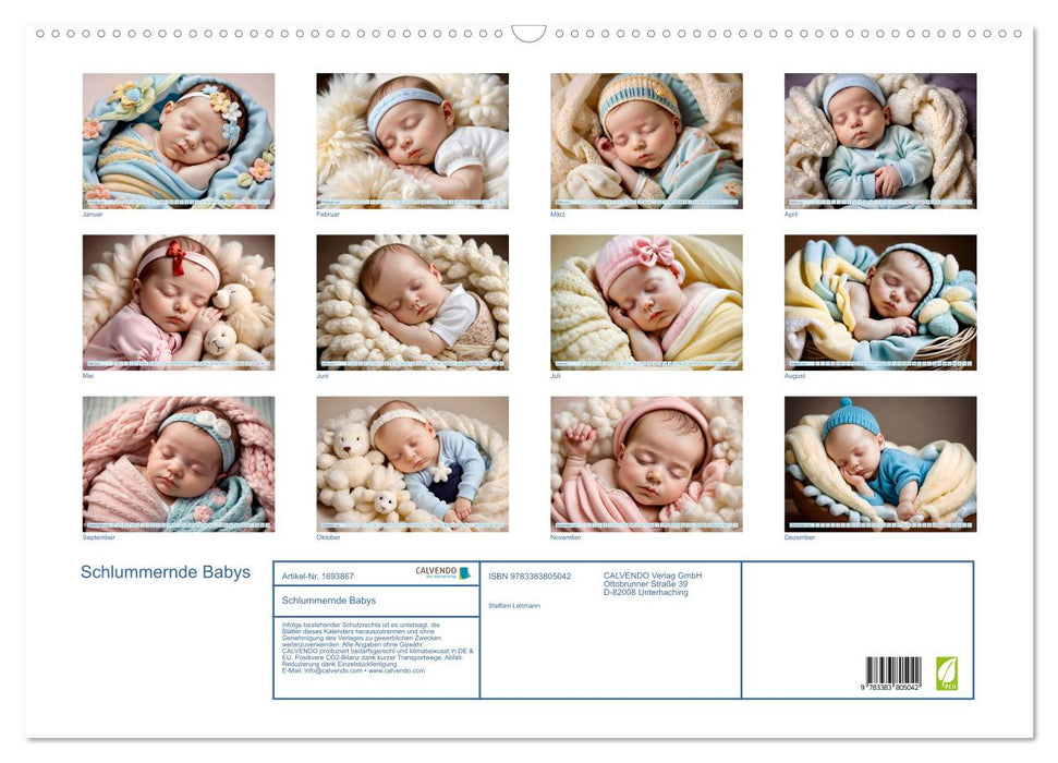 Schlummernde Babys (CALVENDO Wandkalender 2025)