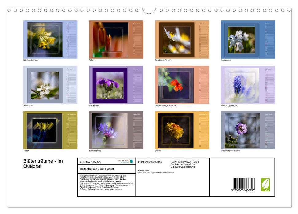Blütenträume - im Quadrat (CALVENDO Wandkalender 2025)