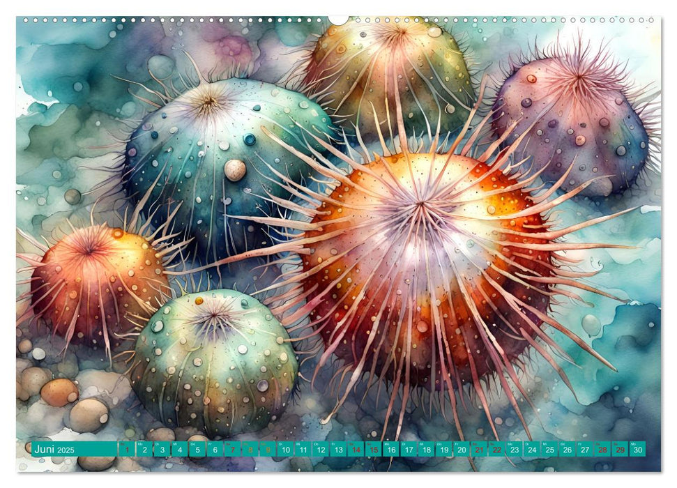 Meereskreaturen - Lebendige Unterwasserwelt (CALVENDO Premium Wandkalender 2025)
