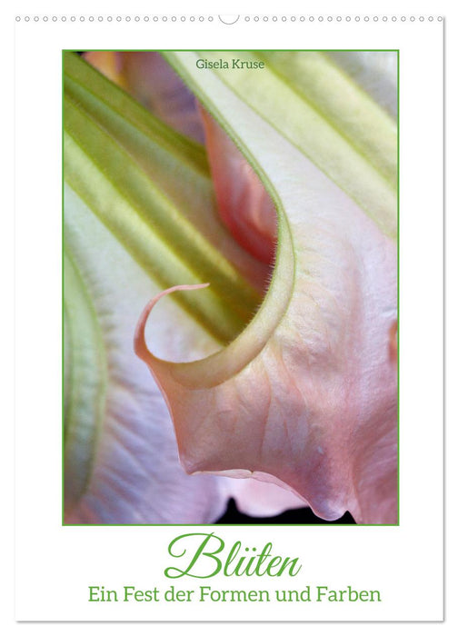 Blüten - Ein Fest der Formen und Farben (CALVENDO Wandkalender 2024)