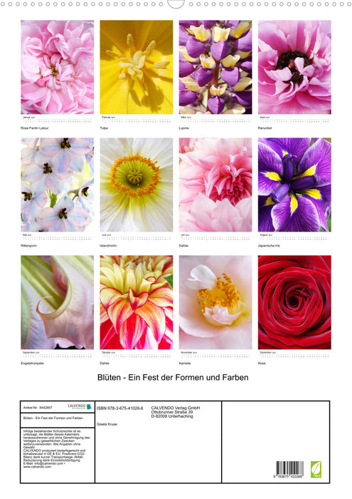 Blossoms - Une célébration des formes et des couleurs (Calendrier mural CALVENDO 2024) 
