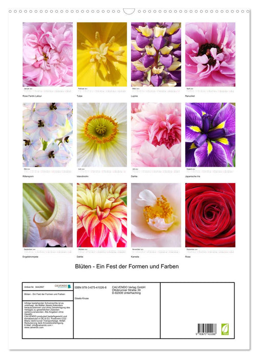 Blossoms - Une célébration des formes et des couleurs (Calendrier mural CALVENDO 2024) 