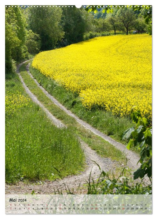 Paths as dream paths (CALVENDO wall calendar 2024) 