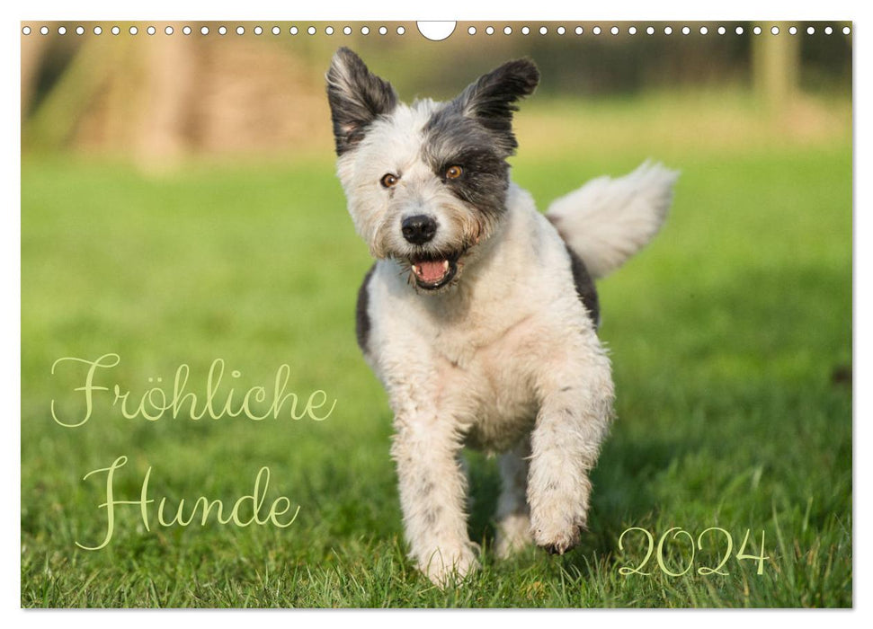 Fröhliche Hunde (CALVENDO Wandkalender 2024)