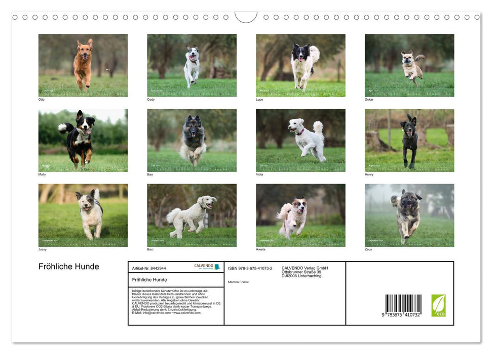 Chiens heureux (Calendrier mural CALVENDO 2024) 