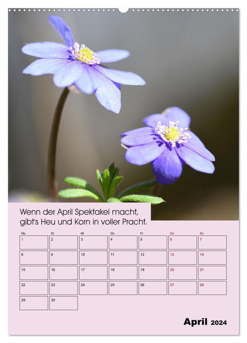 Wetter-Regeln der Bauern (CALVENDO Wandkalender 2024)