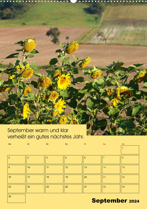 Weather rules of the farmers (CALVENDO wall calendar 2024) 