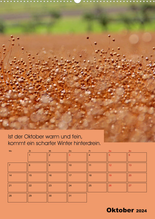 Wetter-Regeln der Bauern (CALVENDO Premium Wandkalender 2024)