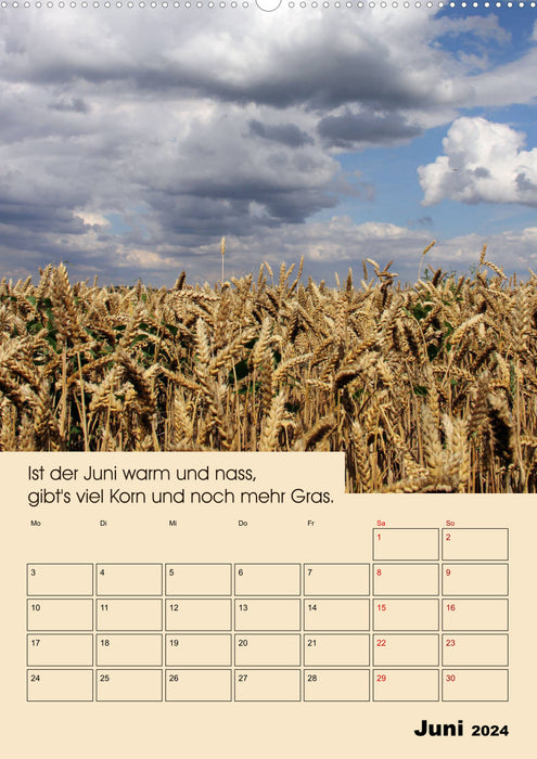 Règles météo des agriculteurs (Calendrier mural CALVENDO Premium 2024) 