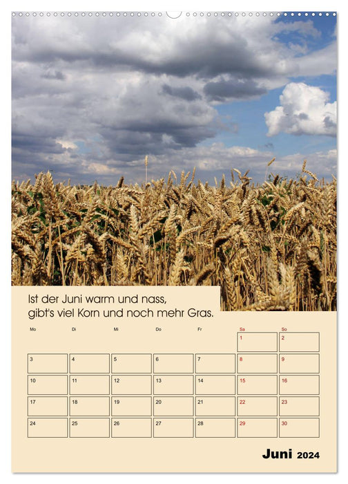 Règles météo des agriculteurs (Calendrier mural CALVENDO Premium 2024) 