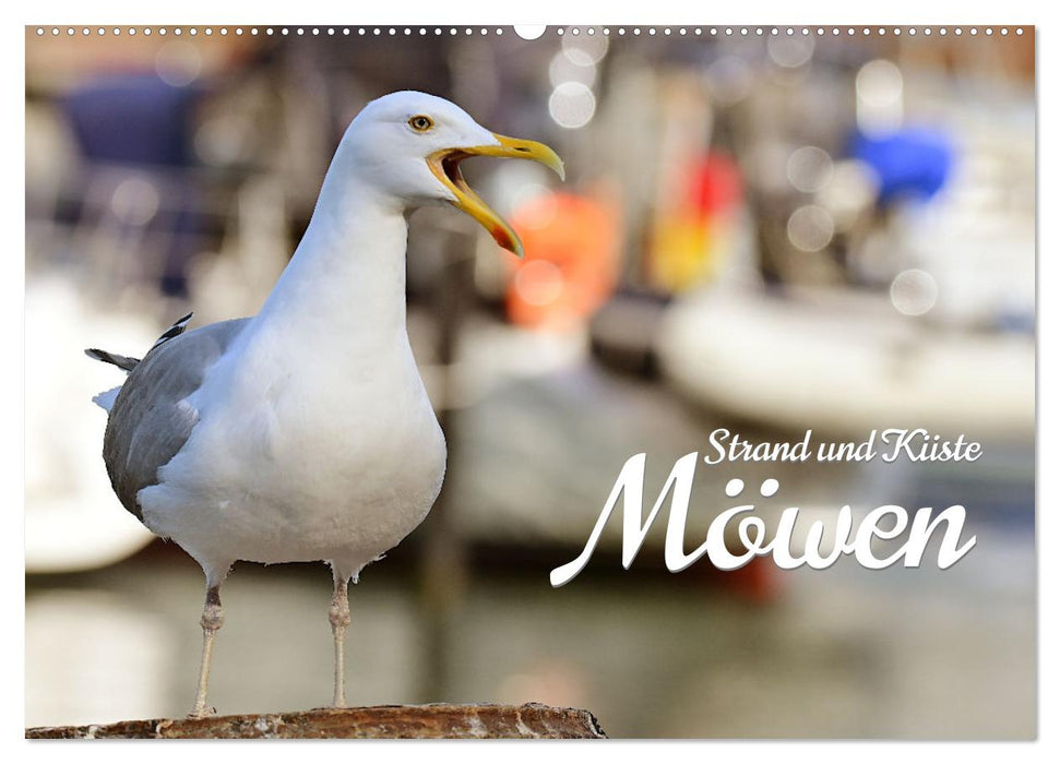 Beach and coast - seagulls (CALVENDO wall calendar 2024) 